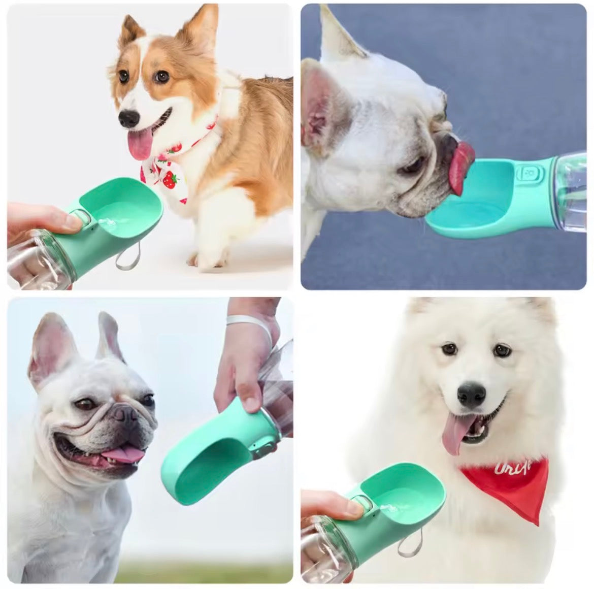 Portable Dog Water Bottle For Dogs + Cat Outdoor Leakproof Walking Drinking Bowls